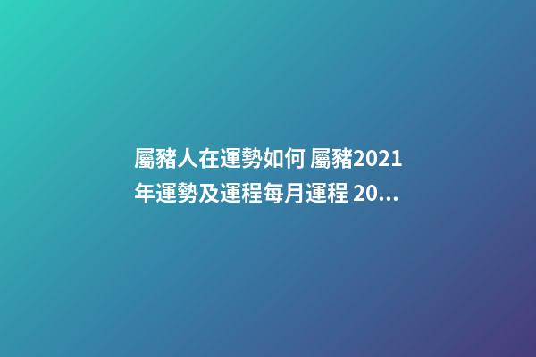 屬豬人在運勢如何 屬豬2021年運勢及運程每月運程 2021年屬豬人的全年運勢-第1張-觀點-玄機派